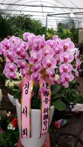 漭ȸ 