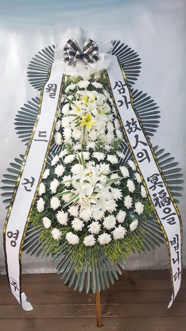 ǿ 