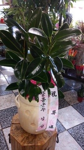 輺 