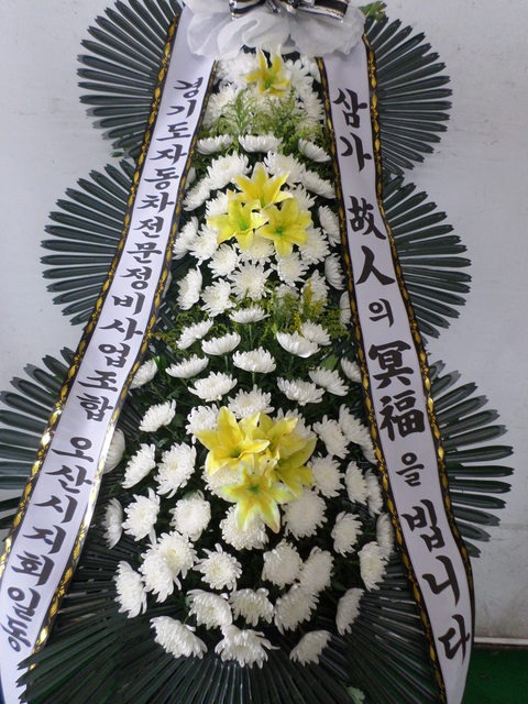 ȸ 