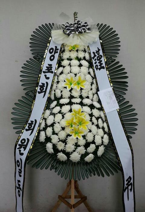 ȸ 