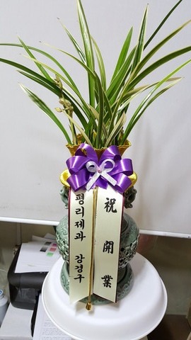 汸 