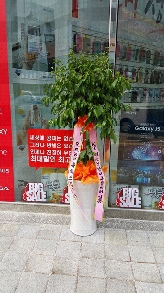 ޼뼾 
