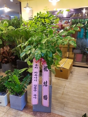 赿 