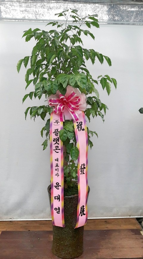 뿭 