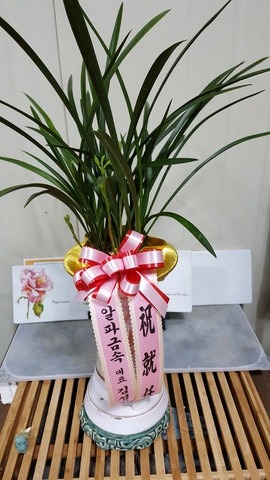 輺ȯ 