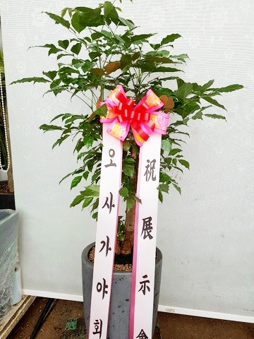 簡ȸ 
