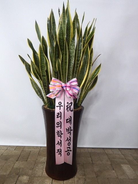 츮м 