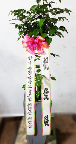 ְ 