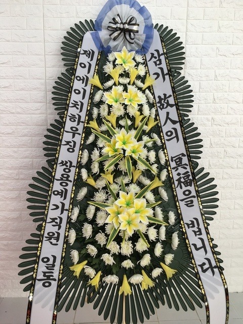 ֿ뿹 