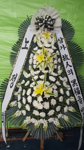 ȸ 