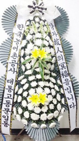 뵿 