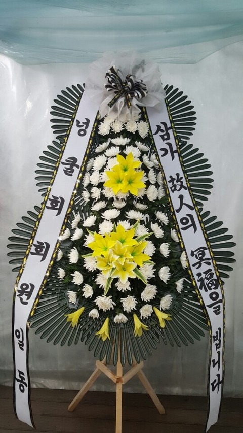 ȸ 