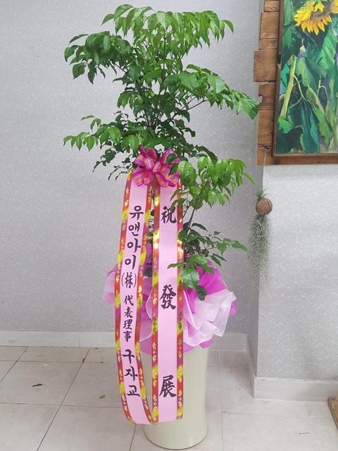 ڱ 