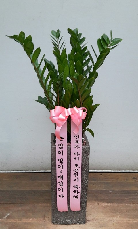 Ŵ뼷 