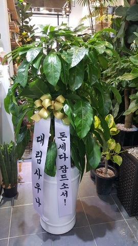 븲쳪 