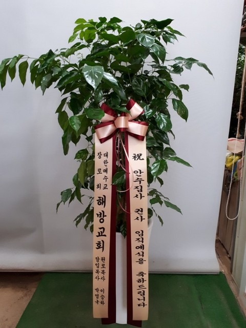 ع汳ȸ 