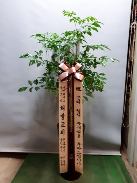 ع汳ȸ 